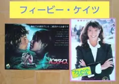 2026年最新】フィービー パラダイスの人気アイテム - メルカリ