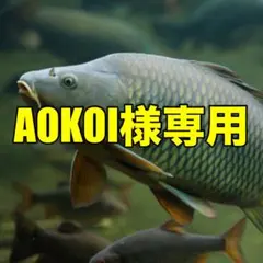 AOKOI様専用