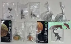 ボールチェーン＆マグネット　ヒキガエルとアマガエル　深海生物　など ８点 ガチャ