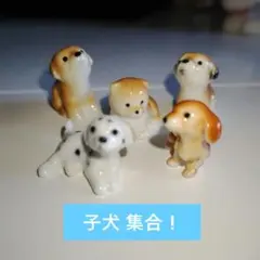 陶器製子犬ミニチュア5体セット