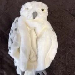 Item thumbnail for item 3a512f7f-31d4-4368-b84e-f85230b27059