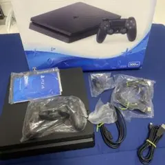 PlayStation 4 本体 500GB