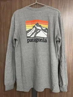 Patagoniaパタゴニア ロングスリーブ キャプリーンクール デイリー