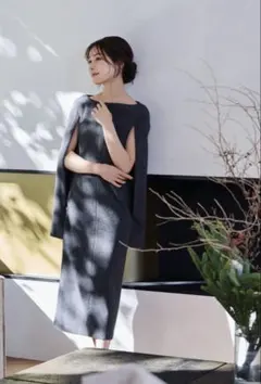 新品タグ付　laubeblanc Narrow line Cape Dress