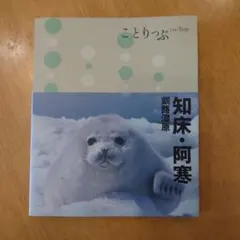 Item thumbnail for item 1ee76bd5-b44b-4c9b-a172-99167b3ca505