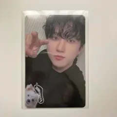 Stray Kids チャンビン　トレカ　ATE タワレコ