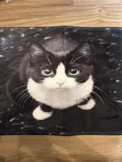猫　ネコ　黒猫　ハチワレ　プリントラグ　マット