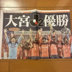 埼玉新聞 大宮アルディージャ J2優勝記念紙面