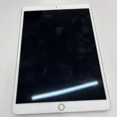 ジャンク品 iPad Pro 10.5インチ A1701