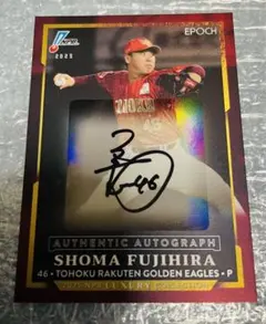 10枚限定 藤平尚真 2025 EPOCH Luxury 直筆サインカード