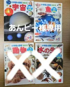 Item thumbnail for item 9075258b-43d4-4ae7-8c20-7b5a9c98d500