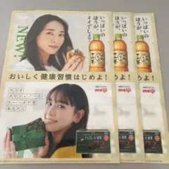 新垣結衣 クリアファイル