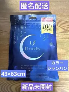 Utukky シルク枕カバー 1枚　カラー シャンパン