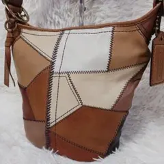 【美品】COACH 限定品 リミテッドエディション ショルダーバッグ11462