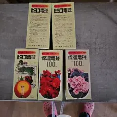 山菜ミズ根っこ付き5㌔以上になります。水洗いしてブロック保冷剤2㌔お