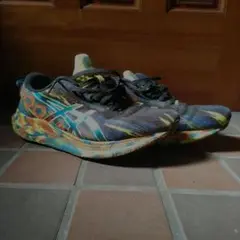 ASICS gel noosa tri 13　日本未発売カラー　27センチ