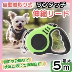 【ライトグリーン】伸縮リード 自動巻き取り ロック付き 5ｍ 散歩 犬用 1個のサムネイル