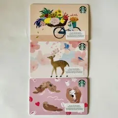 【スターバックスカード】日本未発売 ベトナム限定デザイン含む ３枚セット②