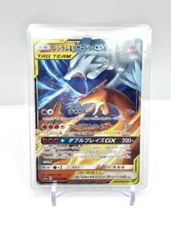 2026年最新】レシラム&リザードンgx rrの人気アイテム - メルカリ