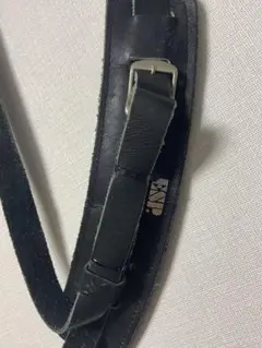 Item thumbnail for item 67e4c805-f3e2-4da8-ada7-552c40bd60e8