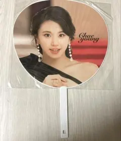 TWICE DOME TOUR 2019 CHAEYOUNG(チェヨン) うちわ