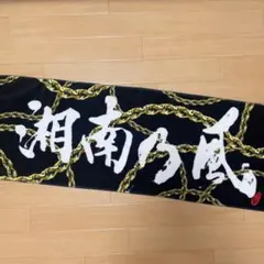 Item thumbnail for item 00efd0fc-6d9d-4004-84b4-e04c8700c08b