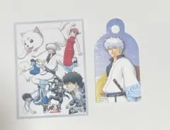 銀魂展 はたちのつどい 秋田会場コラボカフェ特典/ピック/入場特典 真
