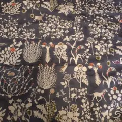 Item thumbnail for item 596ba1a4-d30a-499e-aaab-edcc6b42858c