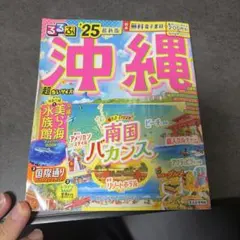 るるぶ沖縄ベスト'25超ちいサイズ