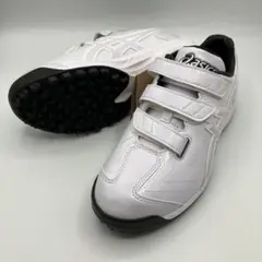 Item thumbnail for item a6a4e906-2e72-4125-9ea5-189e660362ea