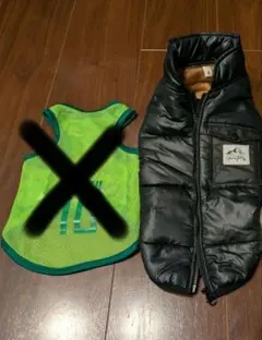 小型犬 ダウンのサムネイル