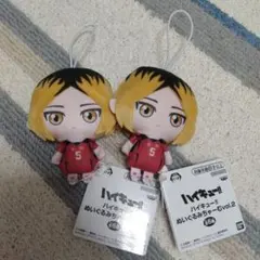 ハイキュー!! ぬいぐるみちゃーむvol.2 孤爪研磨　２個セット　マスコット