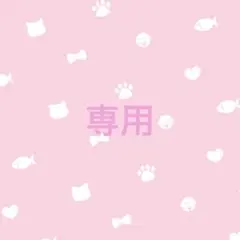 専用