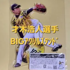 才木浩人 阪神タイガース 2025 セ・リーグ優勝記念くじ BIGアクスタ