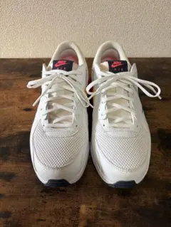 NIKE AIR MAXエクシー