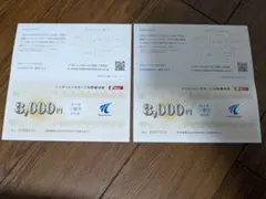 ニッポンレンタカー 3,000円割引券 2枚セット