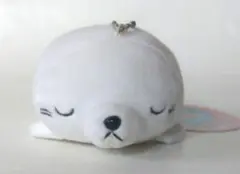 Item thumbnail for item 4b5b8e43-883a-4133-8af5-231ba89dae0d