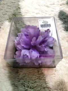 Item thumbnail for item 06272632-5129-4a74-bd16-b7b5e4082945