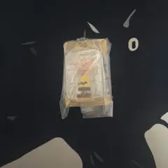 PEANUTS パッケージミニチュアコレクション チャーリー・ブラウン