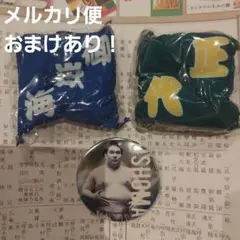 大相撲ガチャ　缶バッジ　座布団キーホルダー　御嶽海　正代　欧勝馬