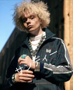 2025年最新】カプセルコレクション needlesの人気アイテム - メルカリ