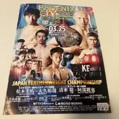 日本フライ級挑戦者決定戦　使用済みチケット 2025年最新】ボクシング チケットの人気アイテム - メルカリ