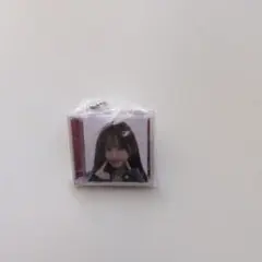 IVE WONYOUNG キーホルダー ミニCDコレクション