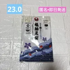 Item thumbnail for item d8f7e8c6-b28e-4c78-9a9e-44e4cd3d60c5