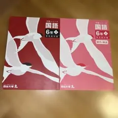 2026年度入試用　四谷大塚予習シリーズ　小6テキスト　フルセット 四谷大塚 小6 予習シリーズ 漢字とことば 上 2024 012S2B : ブックス