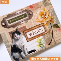 おすそ分け蛇腹ファイル ミニミニ コラージュファイル コラージュ素材 猫 ネコ