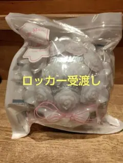 【ロッカー受渡】 SnowMan ペンライト　国立