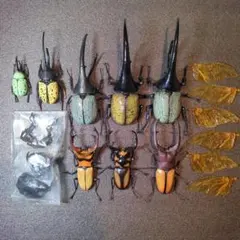 いきもの大図鑑まとめ売り