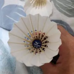 Mizuno G-II バドミントンシャトル ホワイト