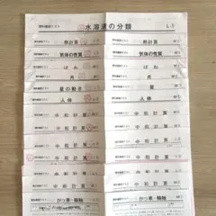 サピックス 未使用原本！4年2022年7月度復習テスト解答用紙付 成績報告
